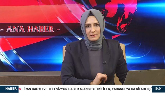 Ana Haber